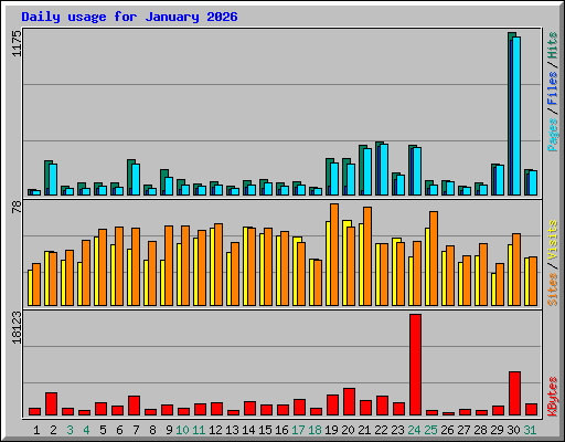 Daily usage for January 2026